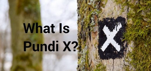 What-is-Pundi X-NPXS